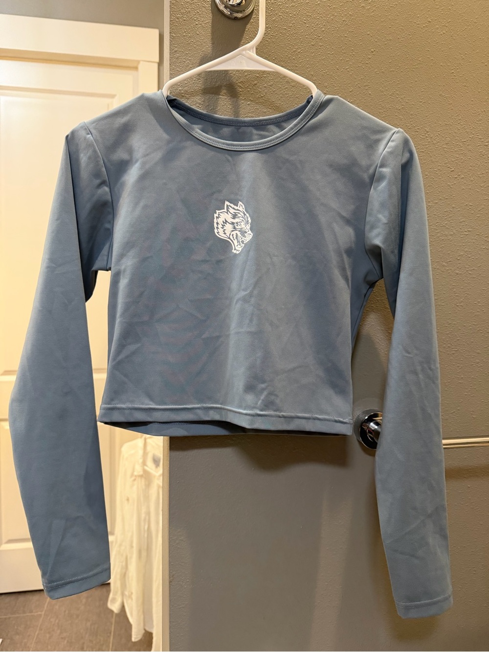 Darc Sport Dusty Blue Long Sleeve Crop Top
